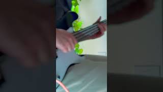 Ain’t no stopping us now bass cover bass soul fenderbass [upl. by Conant]