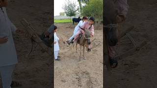 Mery Bachpan k Din villagelife shortvideo viralvideo [upl. by Tehc]