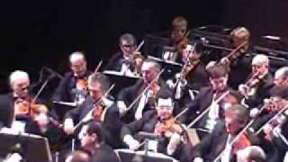 Yisroel Lamm LIVE  Philharmonic Experience PART 4 1299 [upl. by Enalb849]