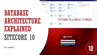 06Sitecore Database Architecture Explained  Sitecore 10 Basic Tutorial [upl. by Bridie960]