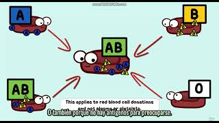 Biology with SPANISH through AMOEBA SISTERS  Multiple Alleles ABO Blood Types and Punnett Squares [upl. by Castor779]