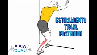 Estiramiento TIBIAL POSTERIOR [upl. by Dira]