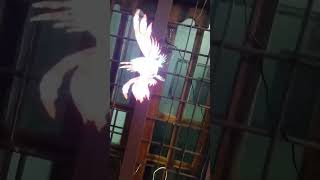 3D LED HD Hologram projector fan rain malayalam flipkart [upl. by Akeyla]