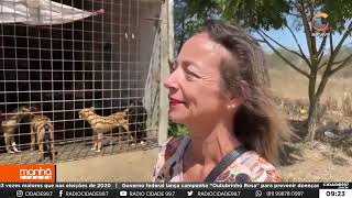 Manhã Cidade 30102024 –Instituição lança campanha de arrecadação de alimentos para pets [upl. by Asher]