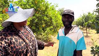 BINTA NDOW DISCUSSES LADY CAMARAS LOVELY ORANGE FARM IN SIFFOE DURING A GMEB TV INTERVIEW [upl. by Lau]