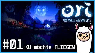 KU möchte FLIEGEN  Ori and the WILL of the WISPS 1 [upl. by Straub]