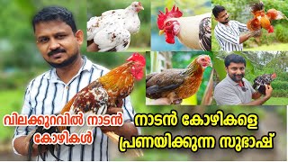 നാടൻ കോഴി വളർത്തൽ  Nadan kozhi valarthal 🐔🐓 [upl. by Ayatnahs]