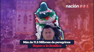 Más de 115 Millones de peregrinos llegan a la Basílica [upl. by Lairea]