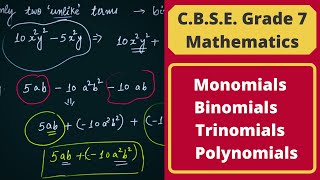 Monomials Binomials Trinomials amp Polynomials  Algebra  Grade 7 amp 8 [upl. by Erastes]