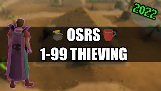 OSRS 199 Thieving Guide 20222023  All Methods Fast [upl. by Barrow]