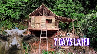 7 DAYS to build a House and Kitchen on the La Drang Hill [upl. by Yanel]