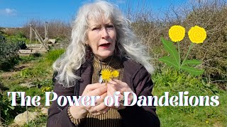 The Power of Dandelions [upl. by Auqinal]