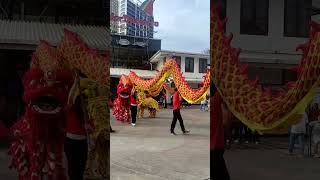 Barongsai Imlek 2024 di Bandar Djakarta Alam Sutera [upl. by Adaliah99]