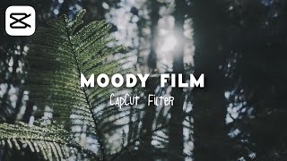 Moody Film CapCut Filter  capcut editing tutorial [upl. by Dart]