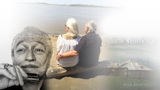 Stingaree  Charlie Musselwhite [upl. by Terle]