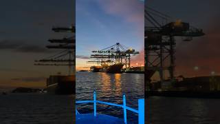 Vallarpadam Terminal operated by DP World [upl. by Ahsatin]