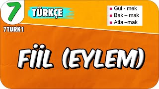 Fiiller 📙 7TURK1 2025 [upl. by Denison965]