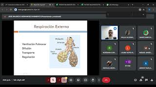 Clase 14 Morfo [upl. by Ahcarb445]