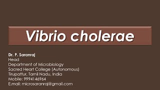 Vibrio cholerae [upl. by Harifaz21]