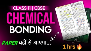 CBSE Class 11 Chemistry  Chemical Bonding and Molecular Structure  Full Chapter [upl. by Joselyn]