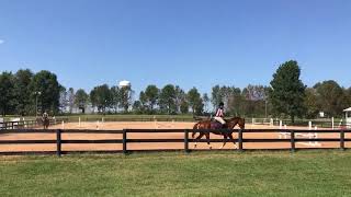 Thoroughbred Makeover Preview [upl. by Trinia277]