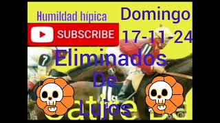 8 eliminados domingo 171124 la rinconada humildad hípica pronóstico [upl. by Chae697]