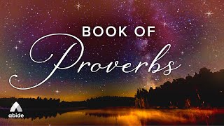 Bible Audio for Deep Rest Proverbs  Holy Bible Audio [upl. by Jilleen]