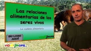 08 Las relaciones alimentarias de los seres vivos 4º Conocimiento del Medio Videoprofenet [upl. by Rachaba]