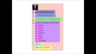 MultiTreat Radionic Treatment Program  Input of information [upl. by Anifled55]