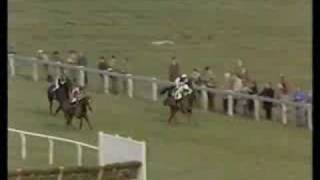 Bregawn 1983 Cheltenham Gold Cup [upl. by Name740]