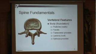 Lumbar Spinal Stenosis Part 1 Spine Fundamentals Paul Houle MD [upl. by Marsh]