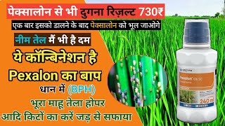 धान में BPH माहू तेला hopper का करें जड़ से सफाया peddy best bph control insecticide pexalon [upl. by Annaed971]