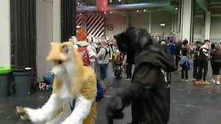 Furries dancing at Comic con Birmingham November 2018 [upl. by Abernon892]