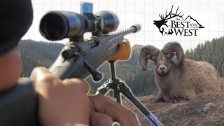 ROCKY MOUNTAIN BIGHORN HUNT 300 PRC [upl. by Gav]