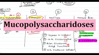 28 Mucopolysaccharidoses  Biochemistry Clinical Features Diagnosis and Treatment [upl. by Notna276]