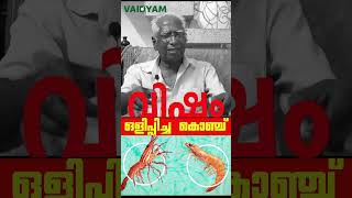 shortsവിഷം ഒളിപ്പിച്ച കൊഞ്ചു Poisonous prawnsK V Dyal vaidyam naturopathy kvdayal [upl. by Nicola768]