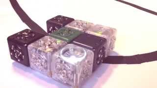 Build a LineFollowing Cubelets Robot [upl. by Attebasile669]