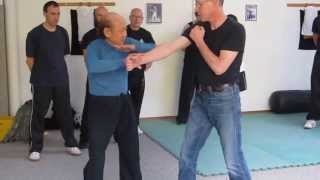 Sifu Lo Man Kam shows a technic in Switzerland 12052013 [upl. by Juanne]