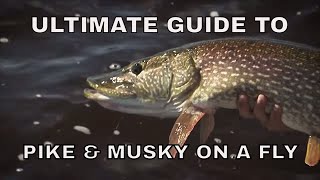 Ultimate Guide to Pike and Musky Fishing on a Fly [upl. by Eidnim955]