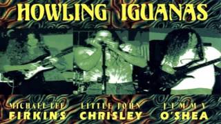 Michael Lee Firkins  Howling Iguanas Full Album [upl. by Naahsar]