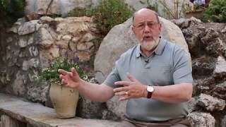 Jesus and Paul Different Gospels N T Wright QampA [upl. by Tihom]