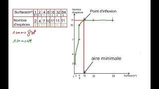 Analyse et interprétation de la courbe du nombre despèces en fonction de la surface [upl. by Ativet]