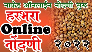 नाफेड हरभरा खरेदी नोंदणी 2022 l नाफेड ची हरभरा खरेदी सुरू  Nafed Harbhara online registration 2022 [upl. by Ozzie51]