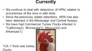 Dr Jack Shere  USDA Highly Pathogenic Avian Influenza Perspective and Update [upl. by Holihs]