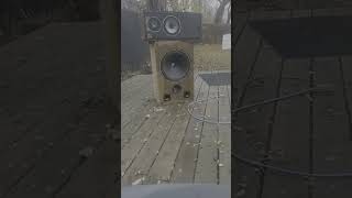 Blowing up subwoofer with 120 V AC [upl. by Esdras]