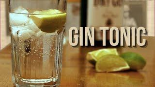 Lassurda STORIA del GIN TONIC Perù malaria e colonialismo [upl. by Blankenship]