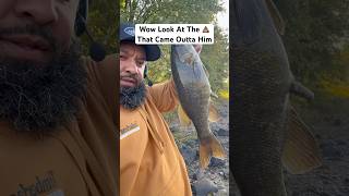 When u gotta go u gotta go funny poop bassfishing [upl. by Ridglea]