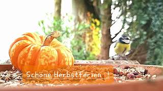 Schöne Herbstferien [upl. by Sherrod]