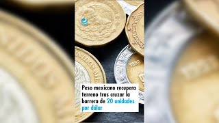 Peso mexicano recupera terreno tras cruzar la barrera de 20 unidades por dólar [upl. by Michaele]