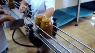 TECNOCEAM MANGO FRUIT JAM PROCESSING LINE [upl. by Netnerb]